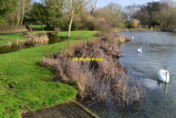 Photo 6"x4" Pond beside the River Dever at Stoke Charity Hunton\/SU4839 c2019