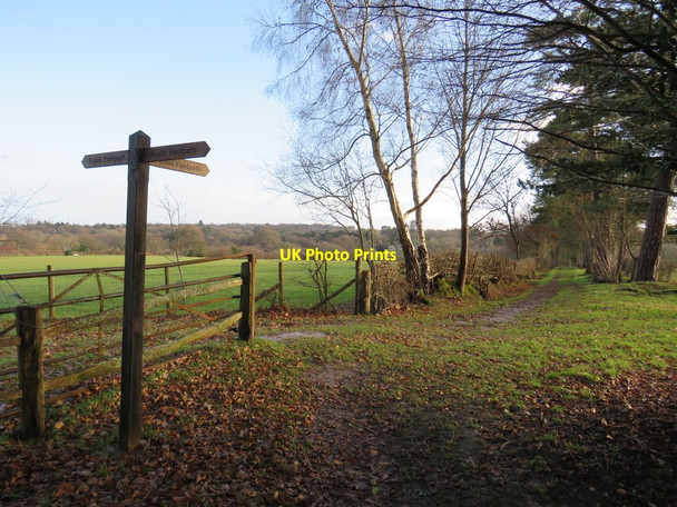 Photo 6"x4" Public footpaths near Felcourt Felcourt c2019