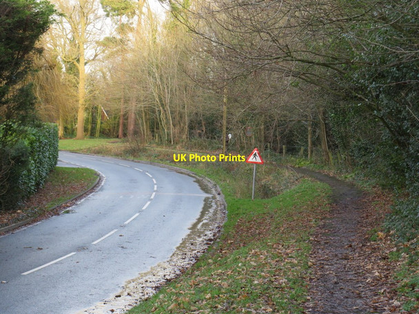 Photo 6"x4" Moor Lane, near Dormansland Dormansland c2019