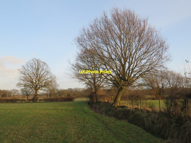 Photo 6"x4" Footpath in a field, near Dormansland Dormansland c2019 P1