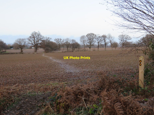 Photo 6"x4" Public footpath near Lingfield Lingfield\/TQ3843 c2019