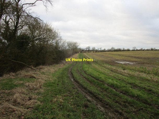 Photo 6"x4" Bridleway near Crown Point Farm Sewstern c2020