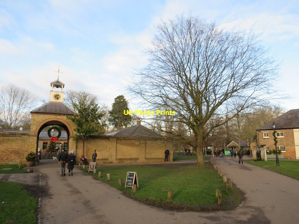 Photo 6"x4" Morden Hall Park Morden\/TQ2568 c2020