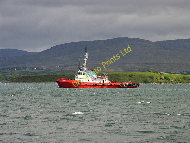 Photo 6"x4" Rabbit Island in Bantry Bay Whiddy Island c2005