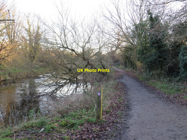 Photo 6"x4" Wandle Trail near St Helier Mitcham c2020