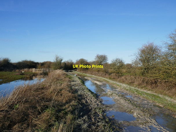 Photo 6"x4" Anberley Wild Brooks: the way north Amberley\/TQ0313 c2020