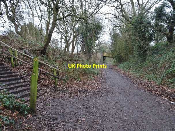 Photo 6"x4" Steps View Orton\/SO8695 c2020