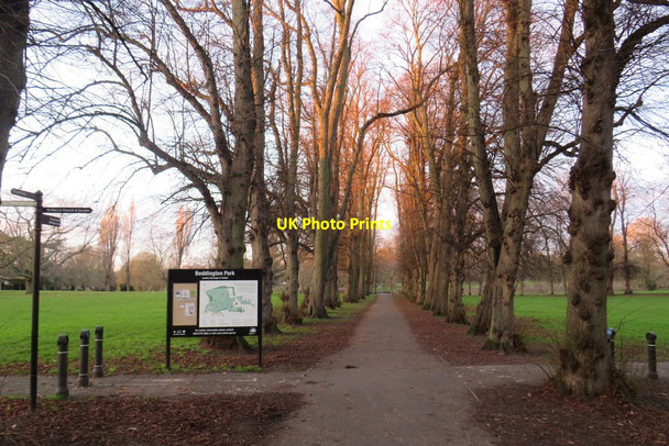 Photo 6"x4" Beddington Park at sunset Wallington\/TQ2964 c2020