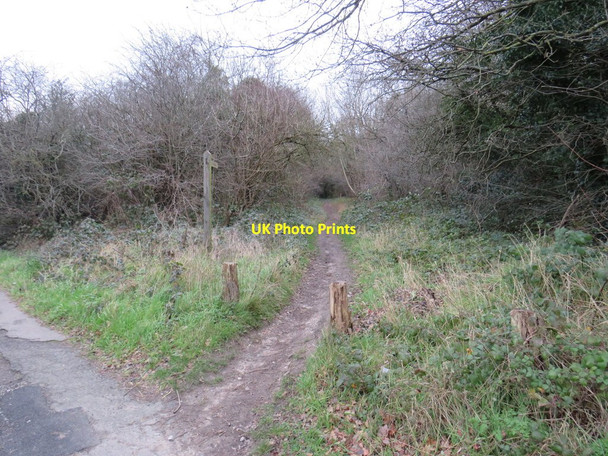 Photo 6"x4" Bridleway onto Banstead Downs Banstead c2020