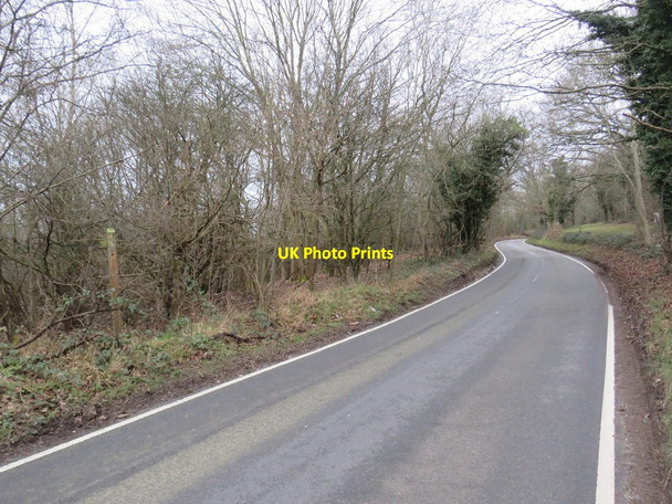 Photo 6"x4" Park Road, near Chipstead Banstead c2020