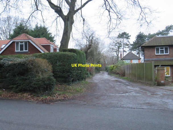 Photo 6"x4" The Pines, near Chipstead Coulsdon c2020