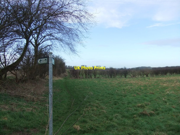 Photo 6"x4" Signpost on the Viking Way Tealby c2020