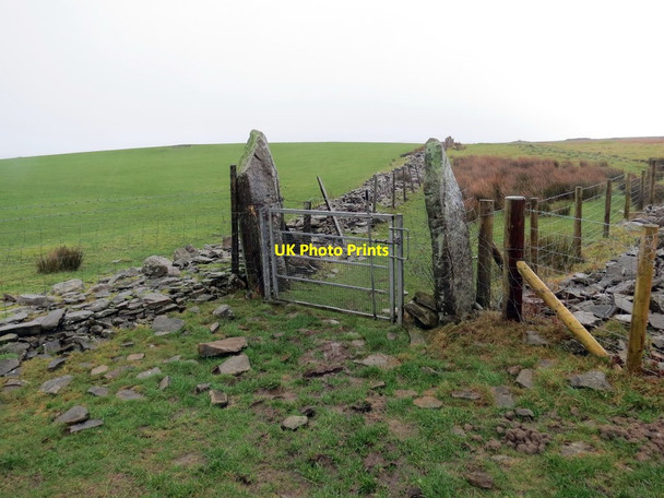 Photo 6"x4" Llwybr ceffyl Mynydd Drumau \/ Mynydd Drumau bridleway Neath\/Castell-Nedd c2020