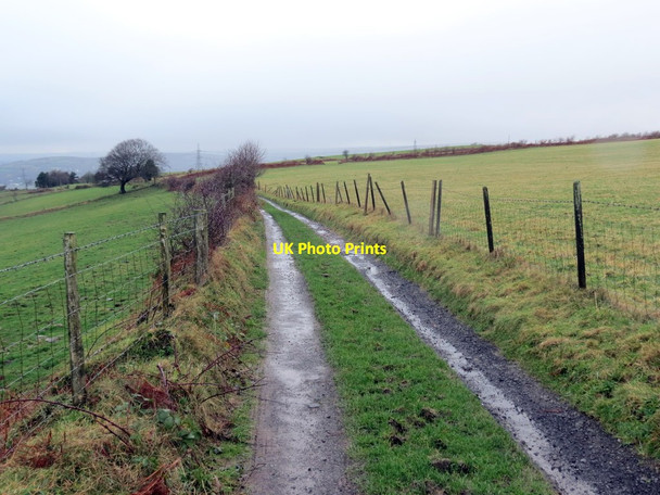 Photo 6"x4" Llwybr ceffyl Tirmynydd \/ Tirmynydd bridleway Birchgrove\/SS7098 c2020