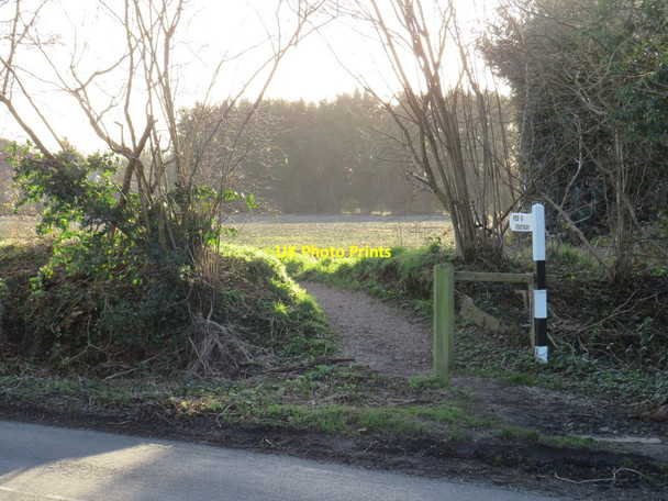 Photo 6"x4" Pedestrian path at Hook End, near Doddinghurst Hook End\/TQ5899 c2020