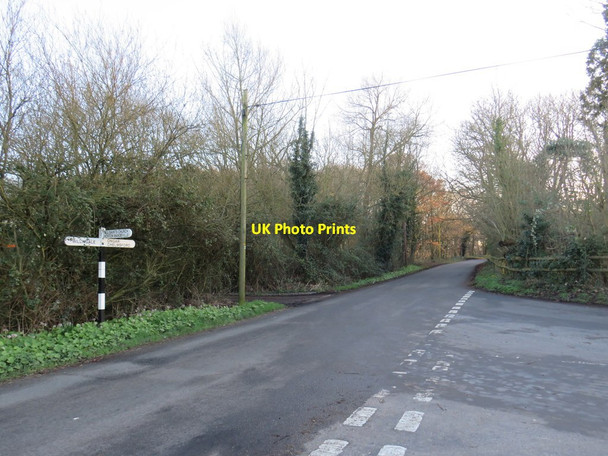 Photo 6"x4" Willingale Road, Norton Heath, near Ongar Norton Heath c2020