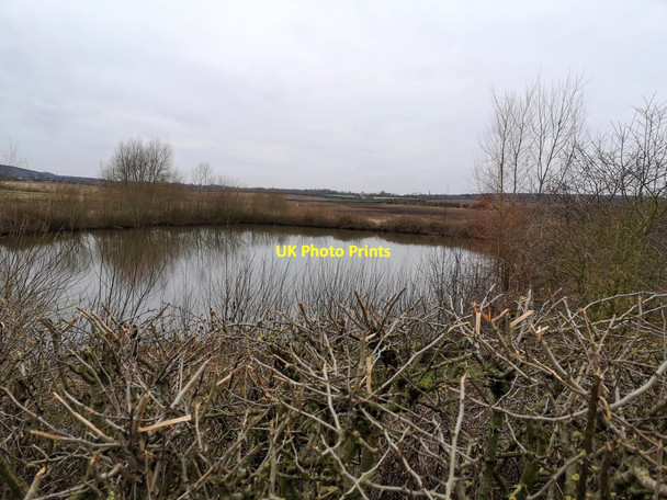Photo 6"x4" Pond in field near Kirton Kirton\/SK6969 c2020