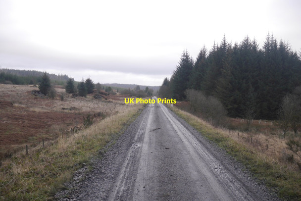 Photo 6"x4" Portpatrick and Wigtownshire  Railway trackbed Dunharberry c2020