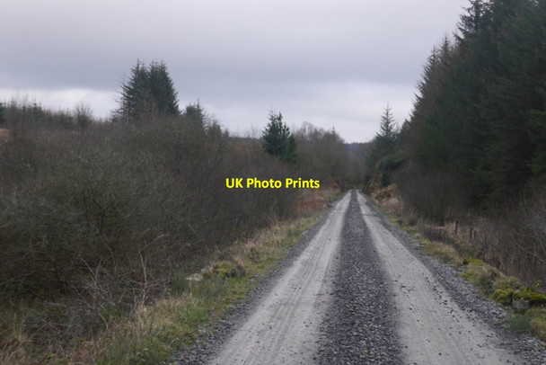 Photo 6"x4" Portpatrick and Wigtownshire  Railway trackbed Craigie Linn c2020