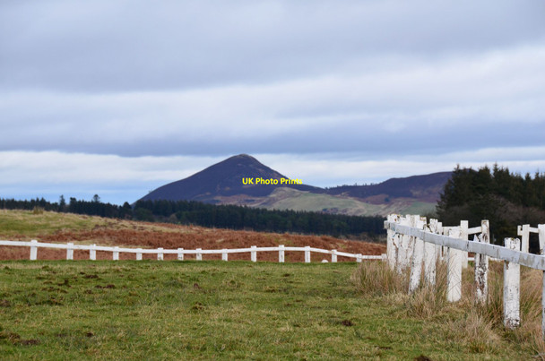 Photo 6"x4" Eildon Mid Hill from the old Selkirk racecourse Selkirk c2020