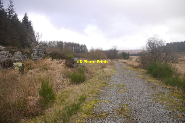 Photo 6"x4" Portpatrick and Wigtownshire  Railway trackbed Burnfoot Burn\/NX5965 c2020
