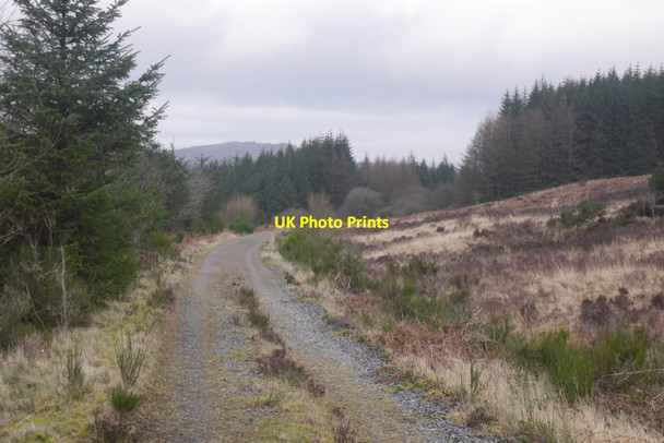 Photo 6"x4" Portpatrick and Wigtownshire Railway trackbed Airie Burn\/NX6169 c2020