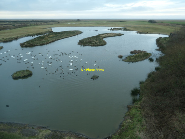 Photo 6"x4" Folly Pond, Caerlaverock Wetland Centre Eastpark\/NY0565 c2020