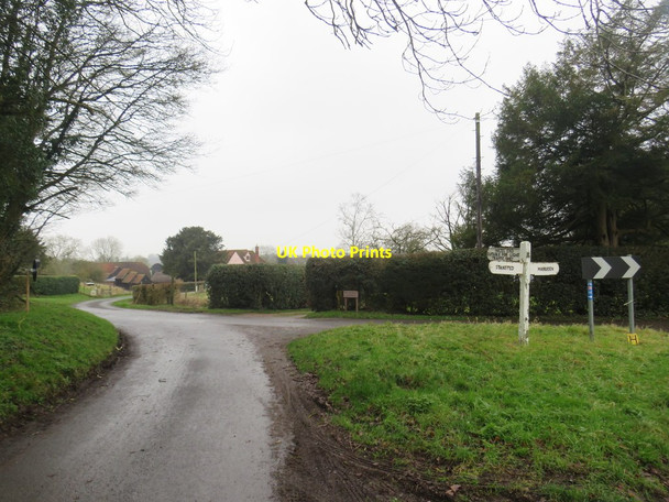 Photo 6"x4" Country lane near Stansted Mountfitchet Stansted Mountfitchet c2020