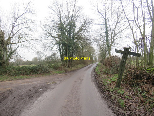 Photo 6"x4" Mallows Green Road, near Manuden Maggots End c2020 P1