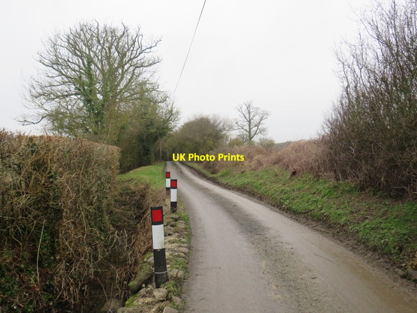 Photo 6"x4" Country lane near Manuden Mallows Green c2020
