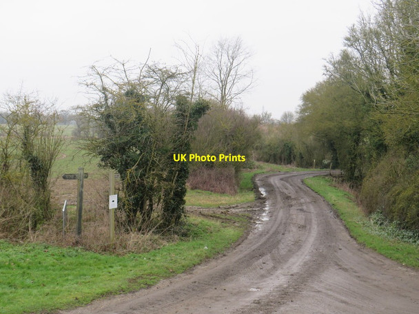 Photo 6"x4" Track at Mallows Green, near Manuden Mallows Green c2020
