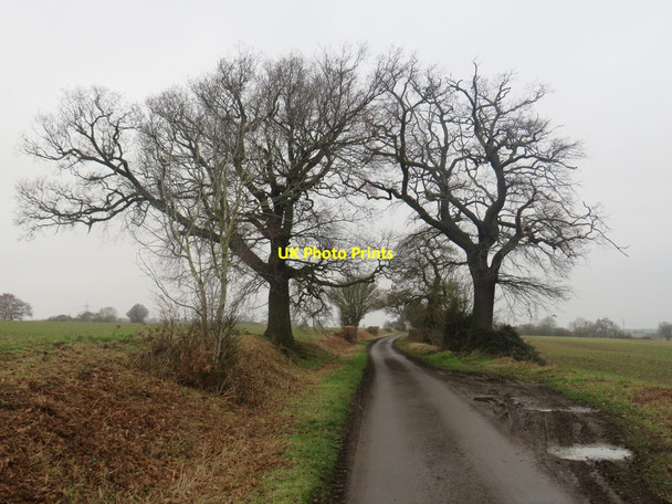 Photo 6"x4" Sheepcote Lane, near Manuden Maggots End c2020