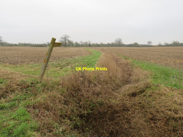 Photo 6"x4" Public footpath near Manuden Maggots End c2020