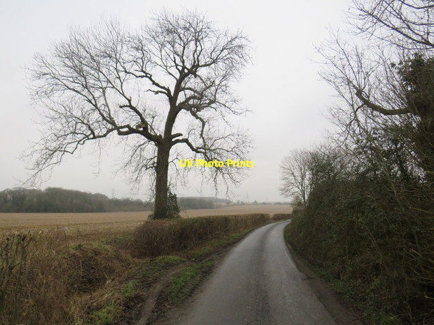 Photo 6"x4" Country lane near Manuden Brick House End c2020