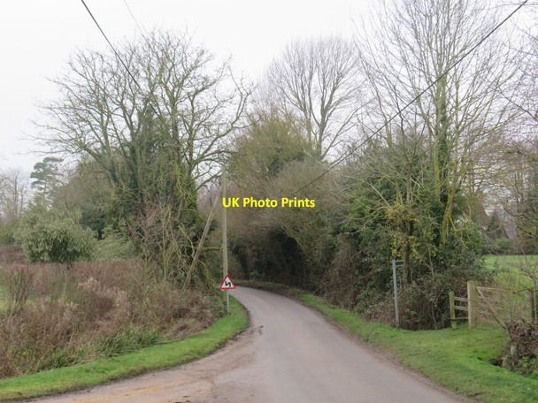 Photo 6"x4" Minor lane near Furneux Pelham East End\/TL4527 c2020