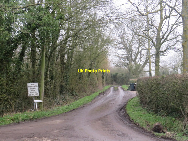 Photo 6"x4" Lane to Stocking Farm, Stocking Pelham Stocking Pelham c2020