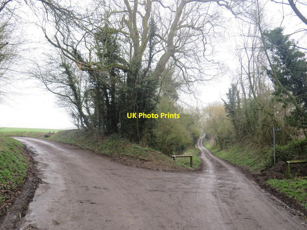 Photo 6"x4" Country lanes near Stocking Pelham Brent Pelham c2020