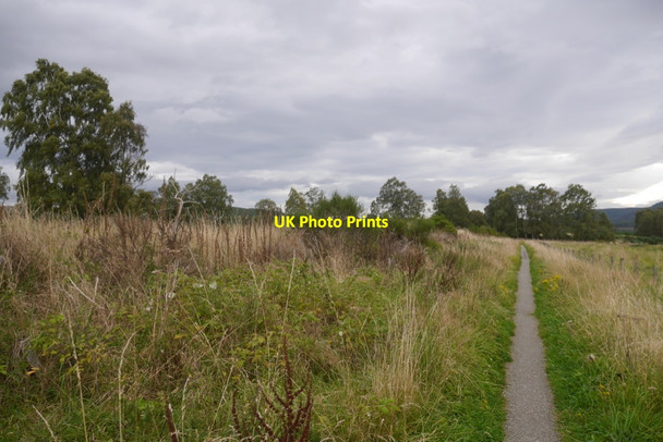 Photo 6"x4" Deeside way path near Boghead Dinnet c2019