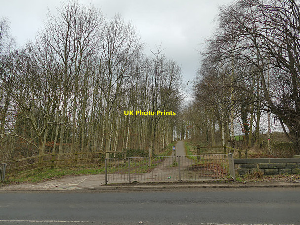 Photo 6"x4" Calder Valley Greenway, east from Bog Green Lane Colne Bridge c2020