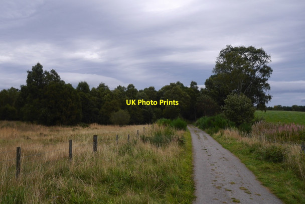 Photo 6"x4" Deeside Railway trackbed, Boddomend Birse c2019