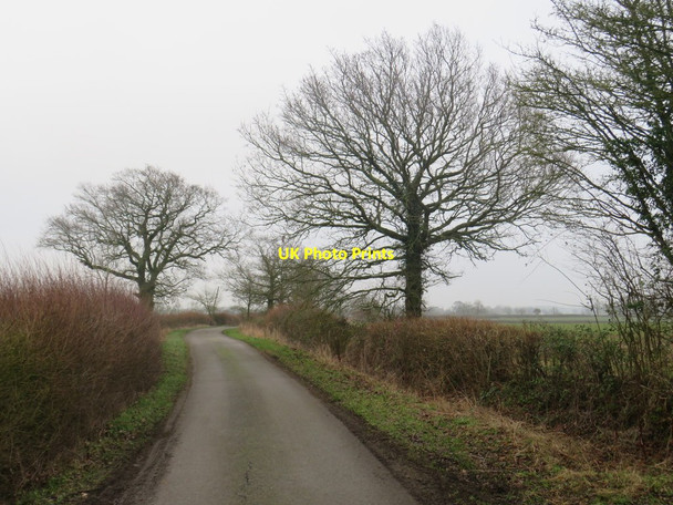 Photo 6"x4" Country lane near Brent Pelham Cole Green\/TL4331 c2020
