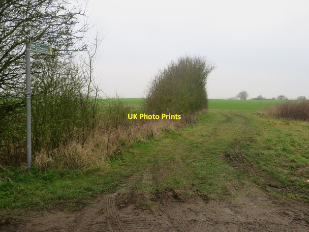 Photo 6"x4" Public footpath near Anstey Anstey\/TL4032 c2020