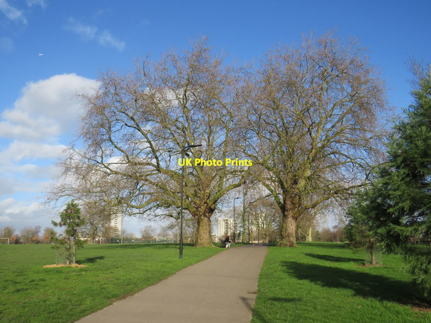 Photo 6"x4" Hackney Downs Hackney c2020