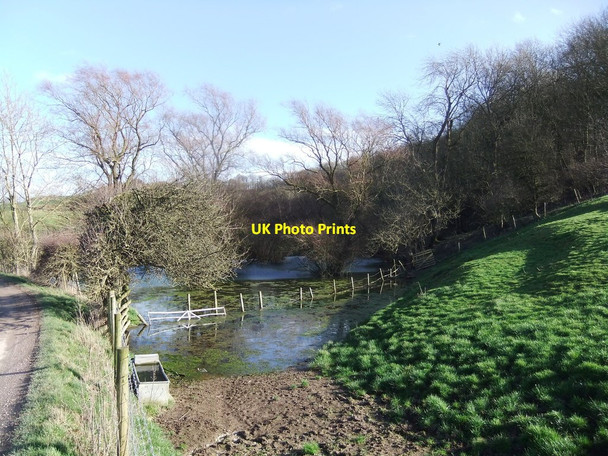 Photo 6"x4" Pond near Easthope Farm Goodmanham c2020