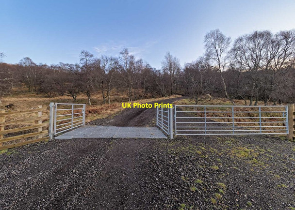 Photo 6"x4" Cattle Grid - Congash Farm Grantown-On-Spey c2020