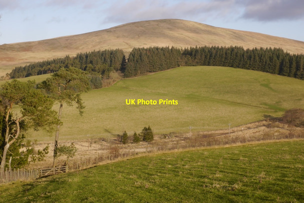 Photo 6"x4" Cock Rig and Mount Maw West Linton c2020