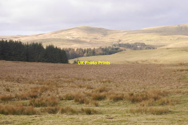 Photo 6"x4" Wetland, Cock Rig West Linton c2020