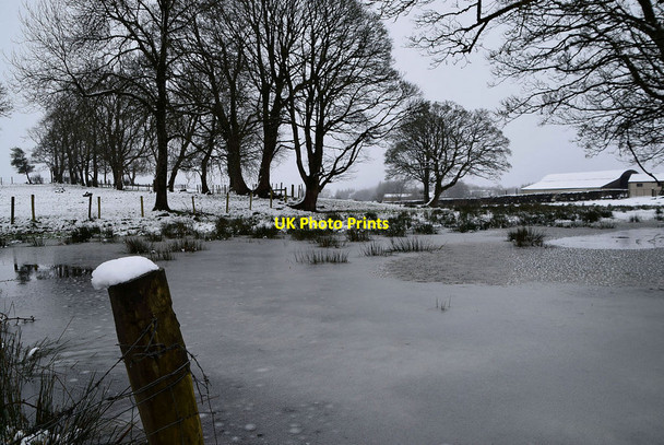 Photo 6"x4" Frozen pond at Creevangar (Alexander) Omagh c2020