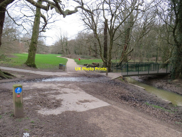 Photo 6"x4" Paths in Hilly Fields Park, near Enfield Enfield\/TQ3396 c2020