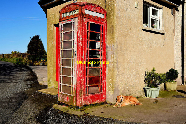 Photo 6"x4" Disused telephone box, Knocknahorn Lack c2020